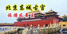 俄罗斯大鸡巴视频在线中国北京-东城古宫旅游风景区