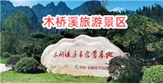 黄片JJ插bb尻逼